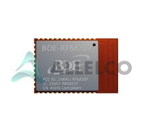BDE-RFM207 Image