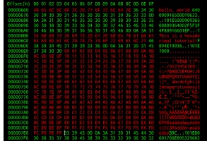 ヘックス：デジタルシステムの言語